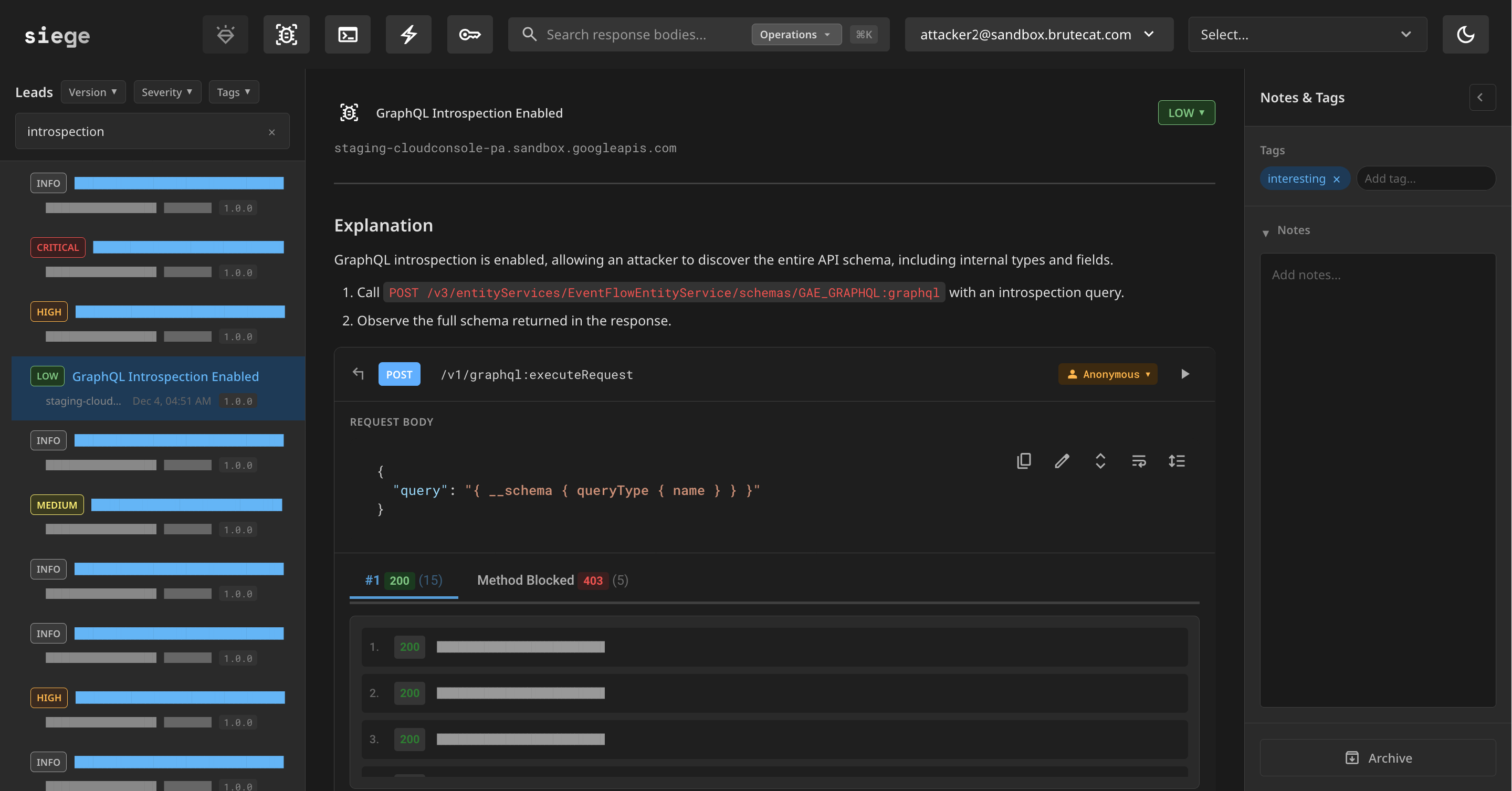 Siege GraphQL introspection lead